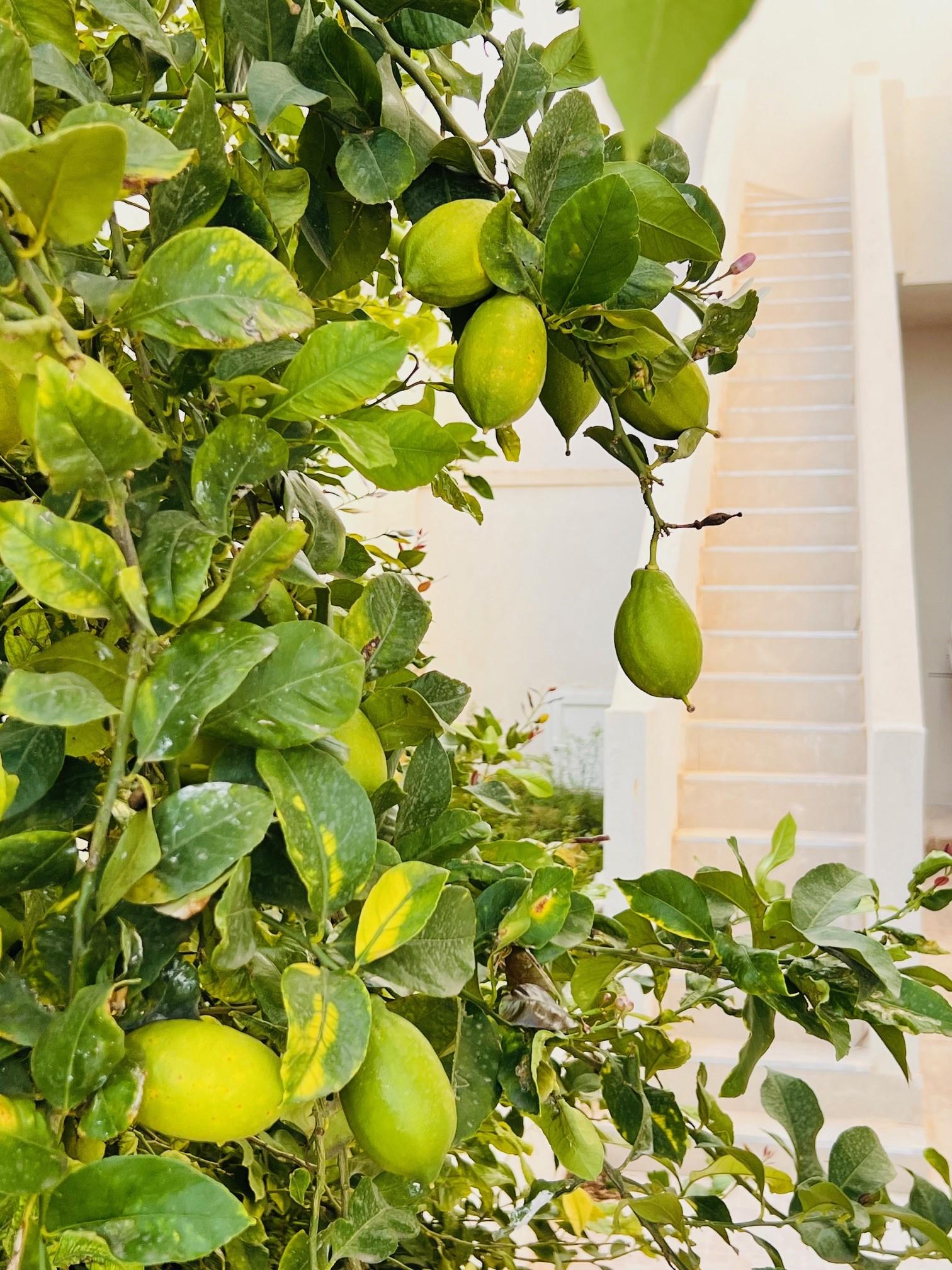 photo bien immobilier